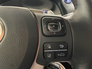 RC 2.5 300h Executive Navigation