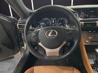 RC 2.5 300h Executive Navigation