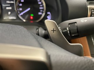 RC 2.5 300h Executive Navigation