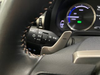 RC 2.5 300h Executive Navigation