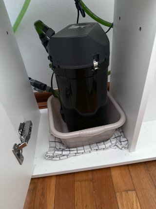 Acuario filtro externo Eheim Classic 250 Plus