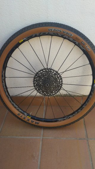 Rueda trasera Mavic con Maxxis Rekon Race