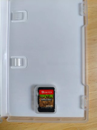 Minecraft Nintendo Switch