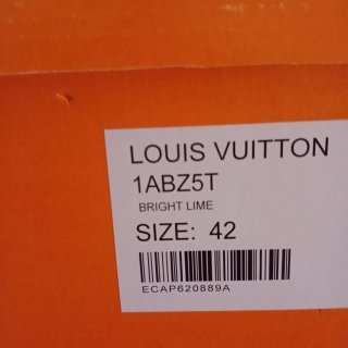 Zapatillas Louis Vuitton Skate Negras y Plateadas