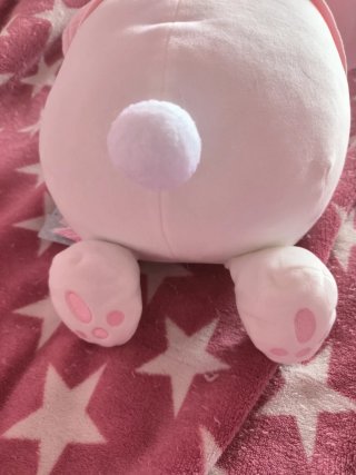Peluche My Melody Mochi Sanrio Characters