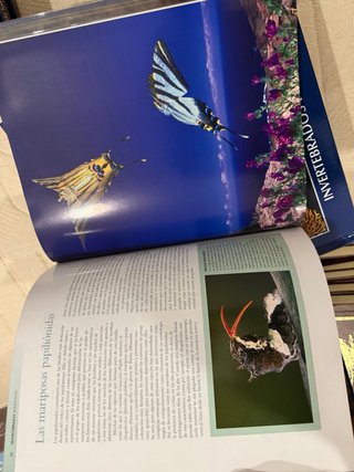 Enciclopedia de los animales, National Geographic
