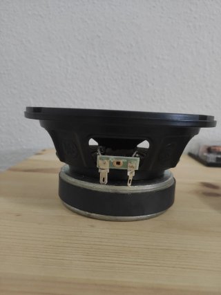Altavoces DLS RC6 (Gama Alta)