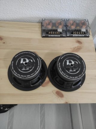 Altavoces DLS RC6 (Gama Alta)