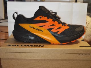 Salomon Sense Ride 5 GTX