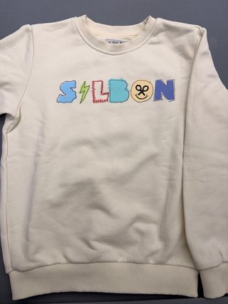Lote 4 sudaderas, 2 camisas y 1 polo