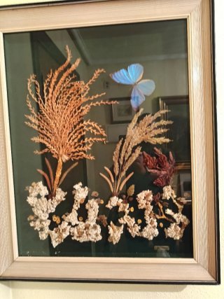 Cuadro Decorativo Mariposa y Flores Secas