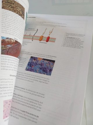 Biología, 2 bachillerato, Revuela Guía del prof...