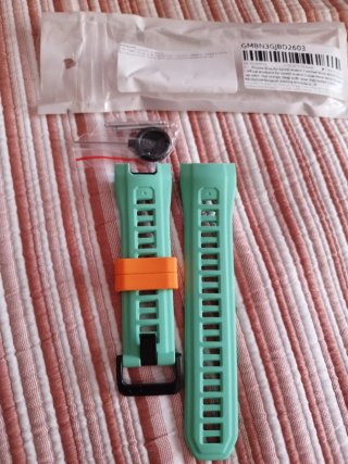 Correa Garmin instinct 3
