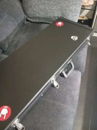 Guitarra Eléctrica Ibanez GRG con Estuche rígido.