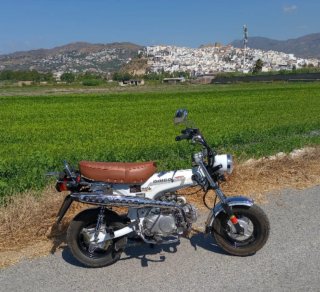 Moto Sunco Dingo 125cc Marrón/Blanca