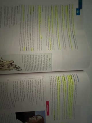 Lengua y literatura 1 Bachillerato