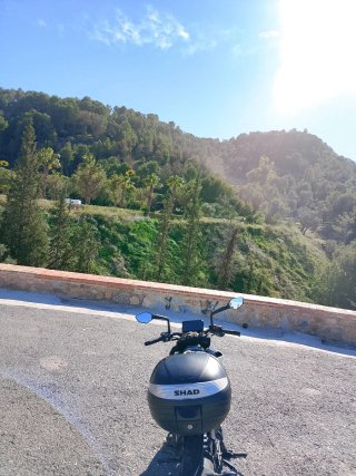 KTM Duke 390 2023 Naked