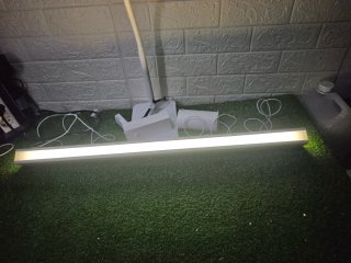Lámpara Colgante Lineal 82cm Luz Calida