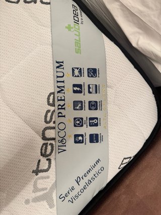 2 Camas Articuladas Individuales con Colchón