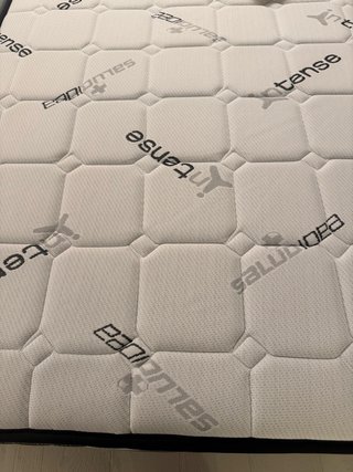 2 Camas Articuladas Individuales con Colchón