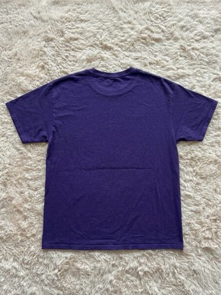 Camiseta Champion Sewanee Morada Vintage L USA
