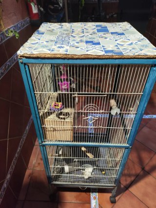 Jaula para pájaros grande