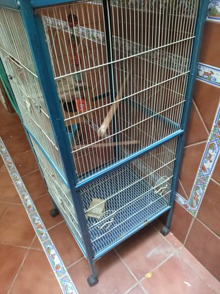 Jaula para pájaros grande