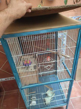 Jaula para pájaros grande