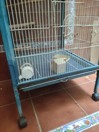 Jaula para pájaros grande