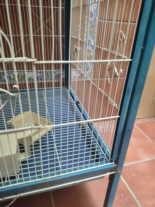 Jaula para pájaros grande