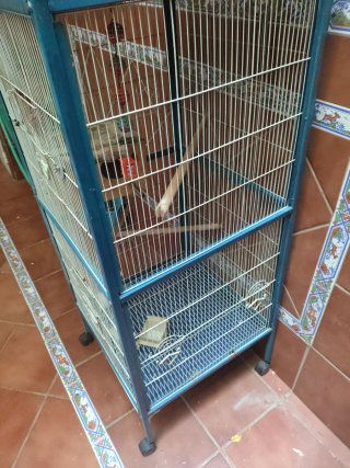 Jaula para pájaros grande