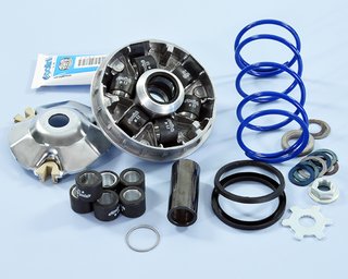 Variador Polini para Moto