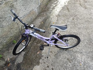 Bicicleta Orbea Rhythm and Blues Morada