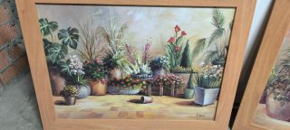 Conjunto 2 cuadros bodegones plantas
