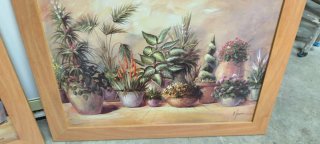 Conjunto 2 cuadros bodegones plantas