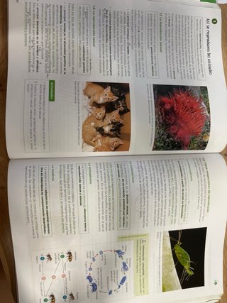 Biología, Geología y Ciencias Ambientales 1 Bac...