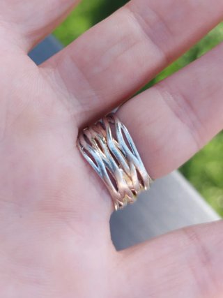 Anello Argento 925 Oro e Argento
