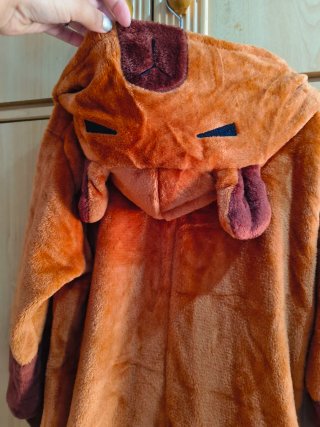 Disfraz infantil Capibara
