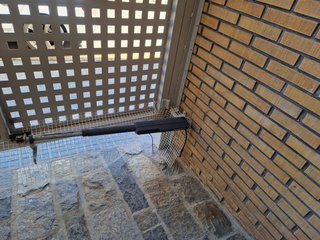 Puerta con motor y puerta manual