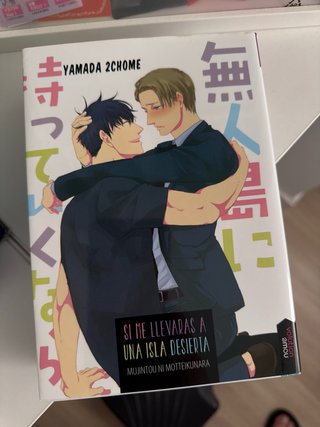 Lote de mangas BL variados (separados o en pack)