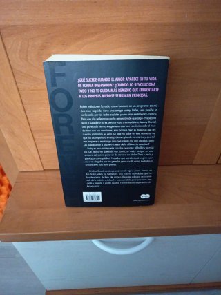 Libro gemeliers (Se buscan princesas )