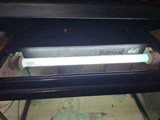 Acuario 100L Agua Caliente