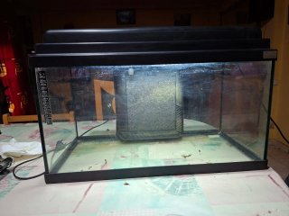 Acuario 100L Agua Caliente