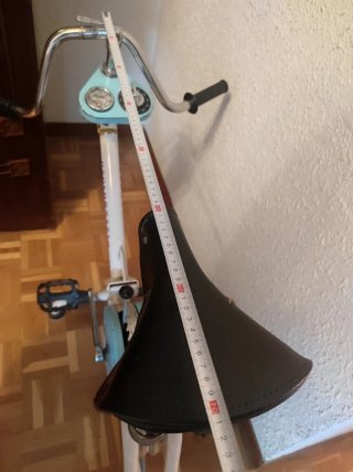Bicicleta Estática Vintage