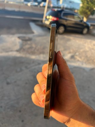 iPhone 14 Pro Max Dorato