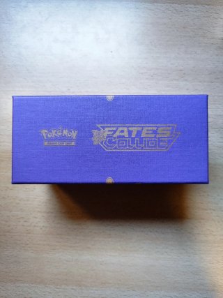 Caja Pokémon Fates Collide VACÍA