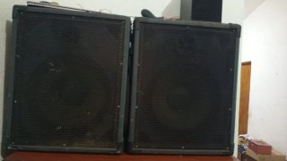 Altavoz Profesional Negro/Gris