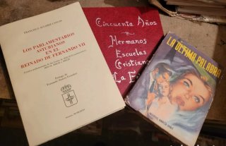 Gran lote 17 kg de tebeos, libros y cuentos varios