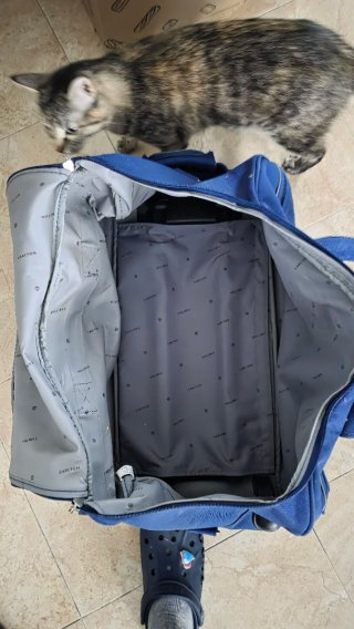 Maleta Carlton azul con ruedas