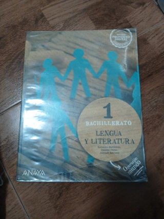 Lengua Castellana y Literatura 1º Bachillerato Ana